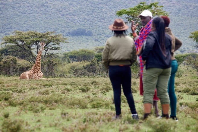 Saruni Basecamp tweet media