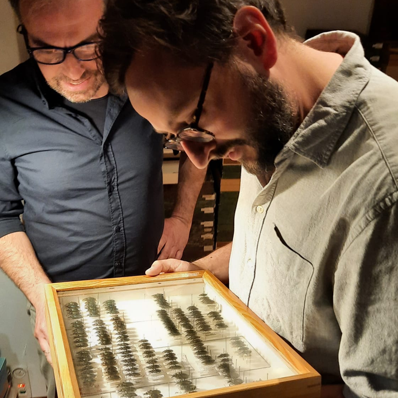 Systematic Entomology tweet media