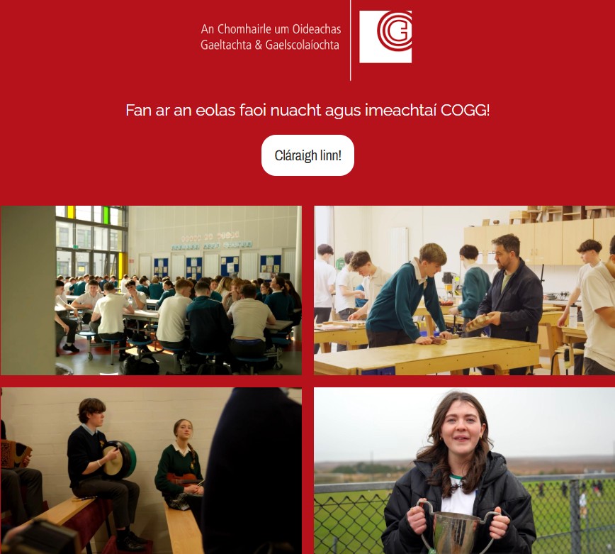 COGG Oideachas tweet media