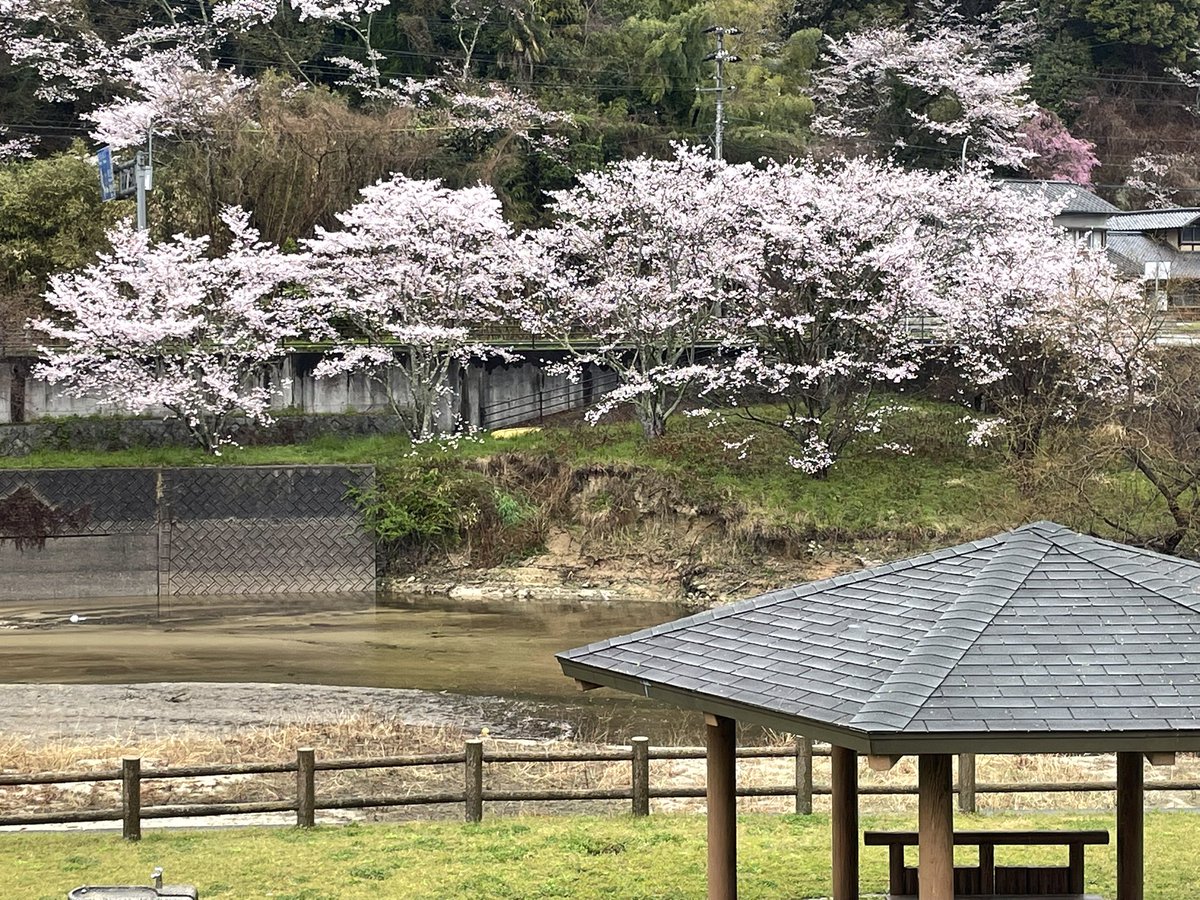 ゆうさん🦉🎣⛳️ tweet media