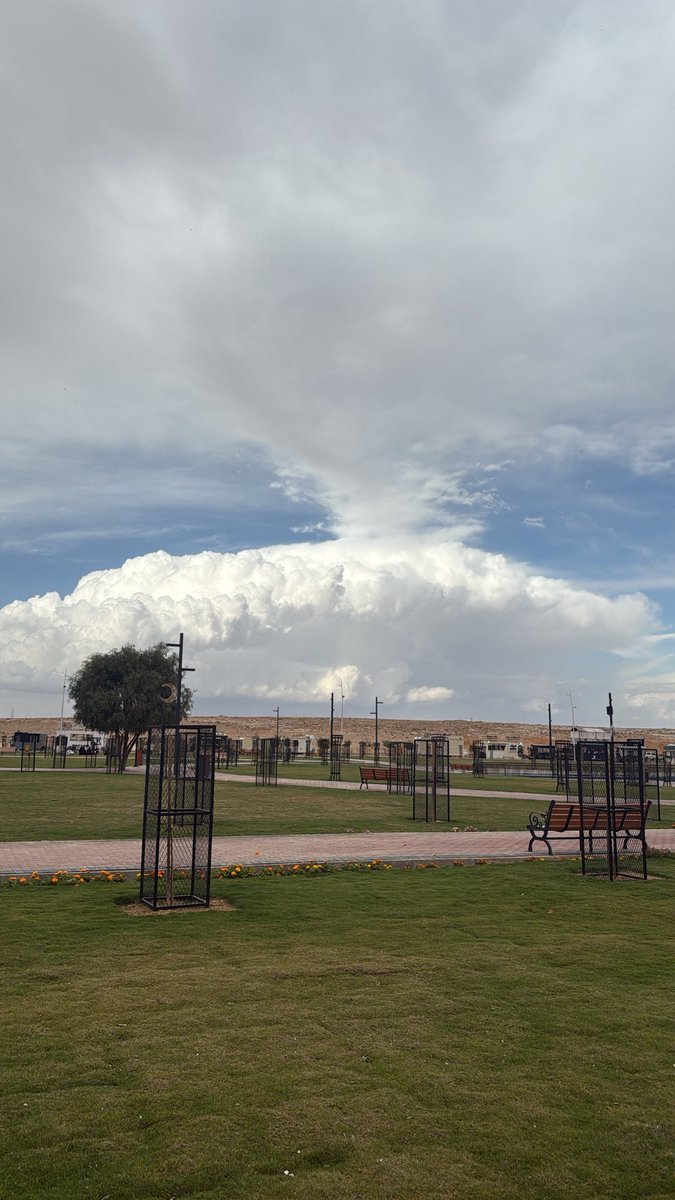 Dareen🇸🇦⚖️ tweet media