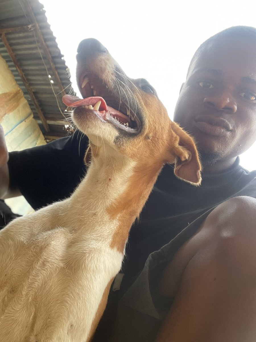 Waggy ✞🏌️ tweet media