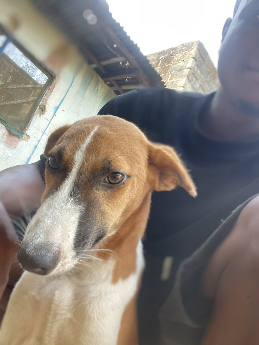 Waggy ✞🏌️ tweet media