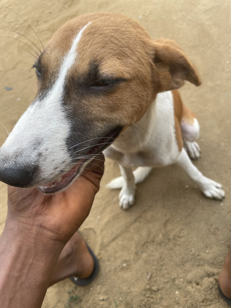 Waggy ✞🏌️ tweet media