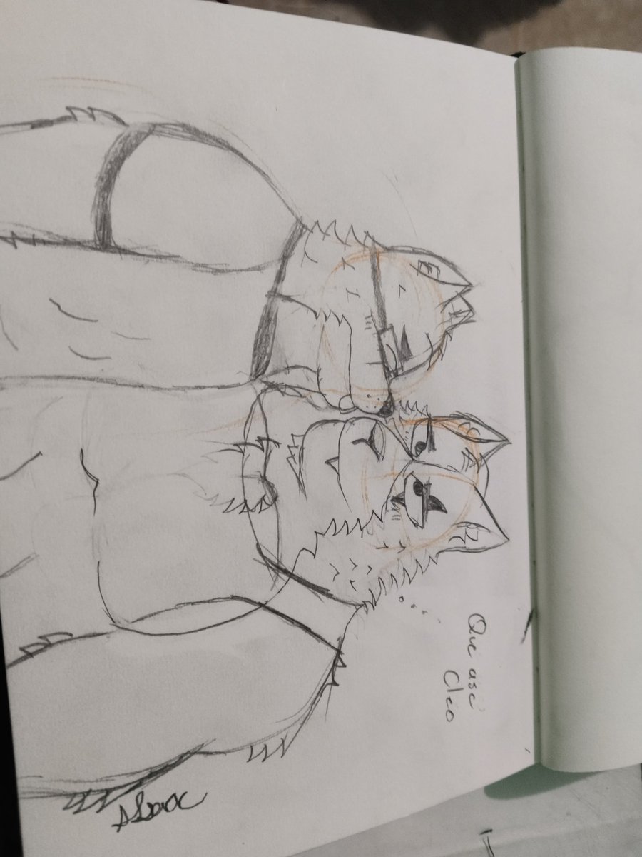 Theron Wolf tweet media