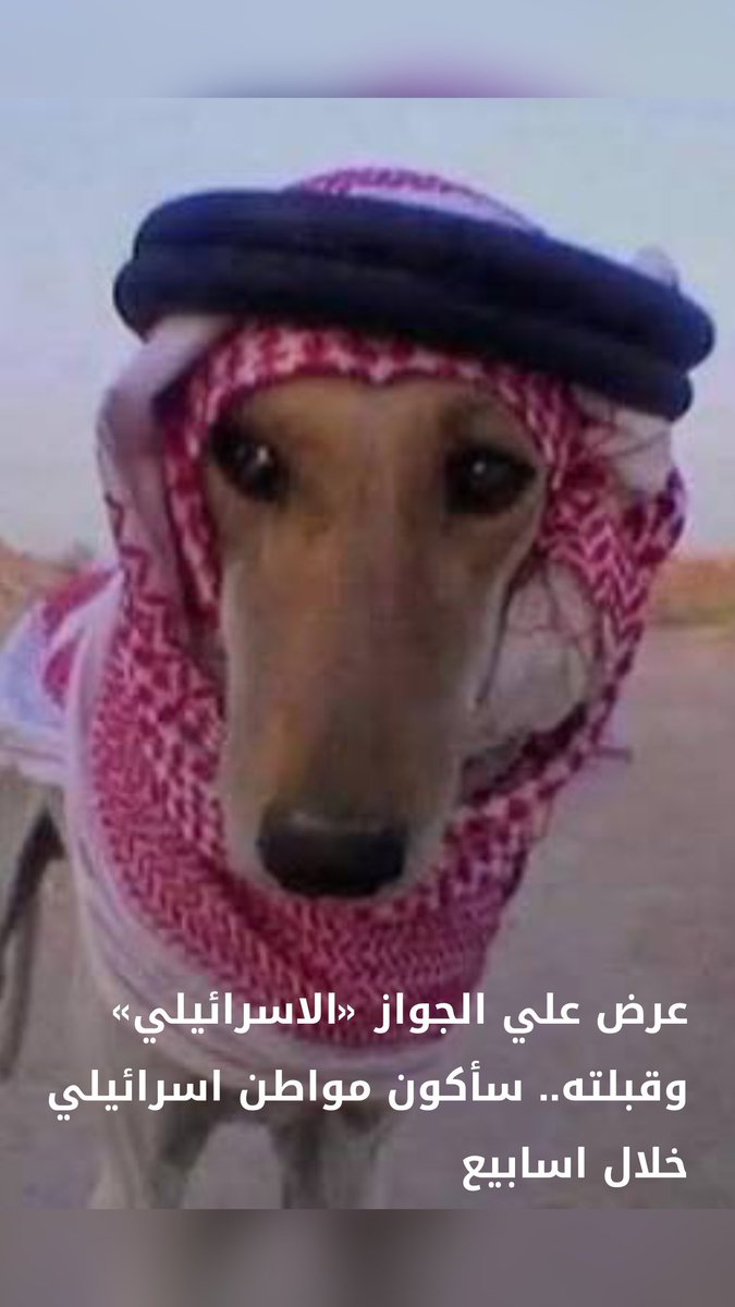 أحمد هادي tweet media