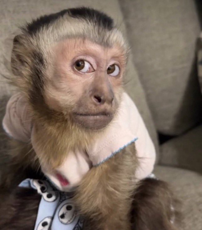 Anny 🐈⬛ tweet media