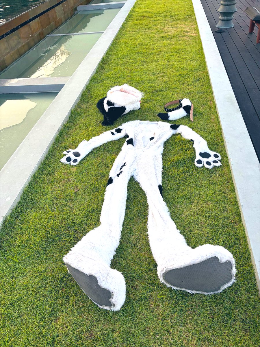 🐾Ⓟⓐⓣⓒⓗ Ⓣⓗⓔ Ⓓⓐⓛⓜⓐⓣⓘⓐⓝ tweet media