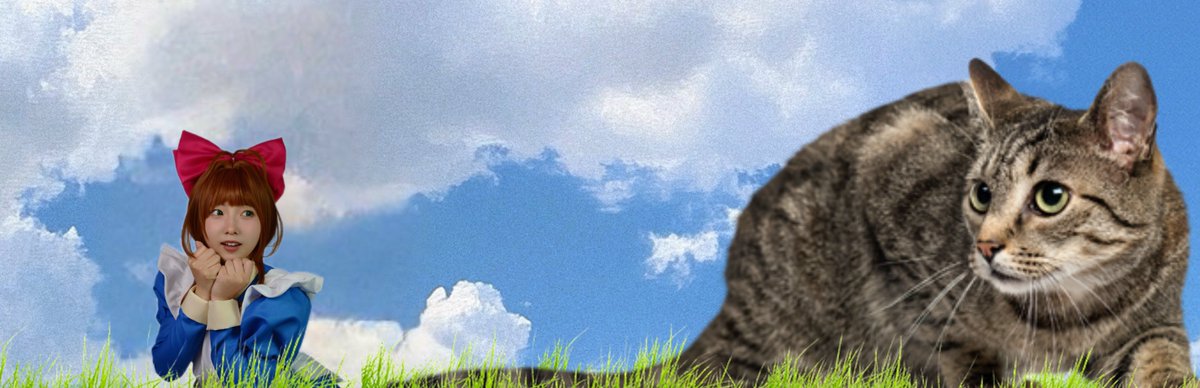 🐧かける🐡 tweet media