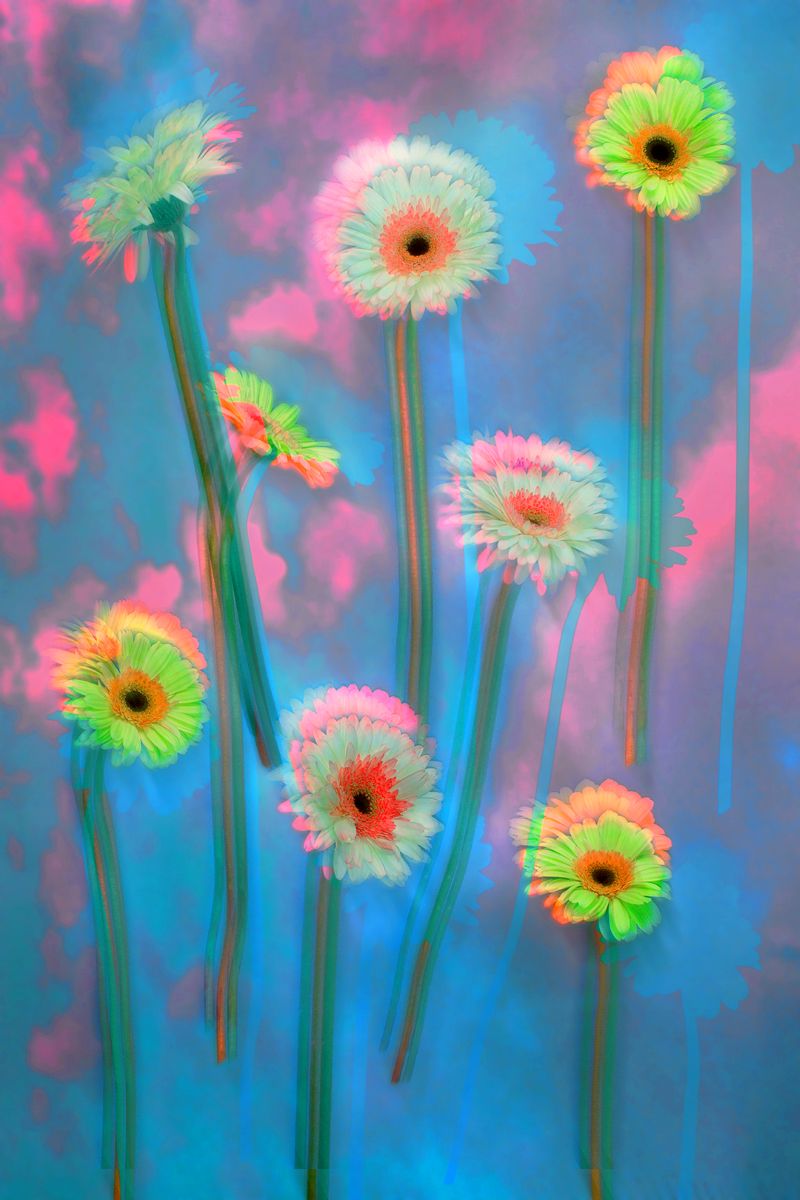 joja_peaches's tweet photo. The HALLUCINATION FIELD collection is live!

⋆.˚☁️⋆˚✿˖° thank you so much to the collectors of my photo collage, "Sky Flowers"  🥹🙏✨

╭─-·-ˋˏ-༻𖤓༺-ˎˊ·-─╮
Stampfigang
@cryptonian_0
@Chumwizards
╰─-·-ˋˏ-༻𖤓༺-ˎˊ·-─╯

{[ 2 / 5 ]} ~~ 10 ꜩ https://t.co/hQcCLuouYs