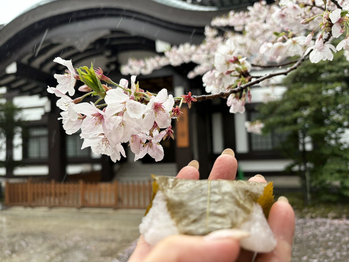 原田　千栄 tweet media