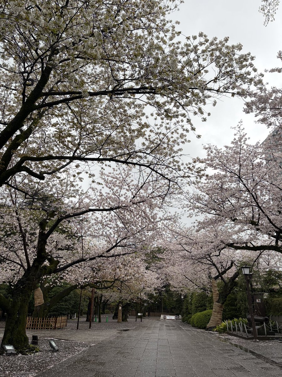 原田　千栄 tweet media