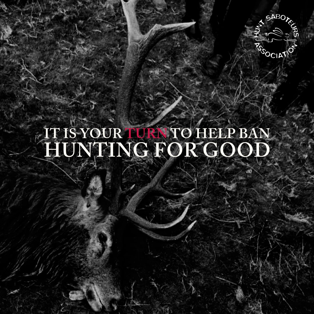 Hunt Saboteurs Association tweet media