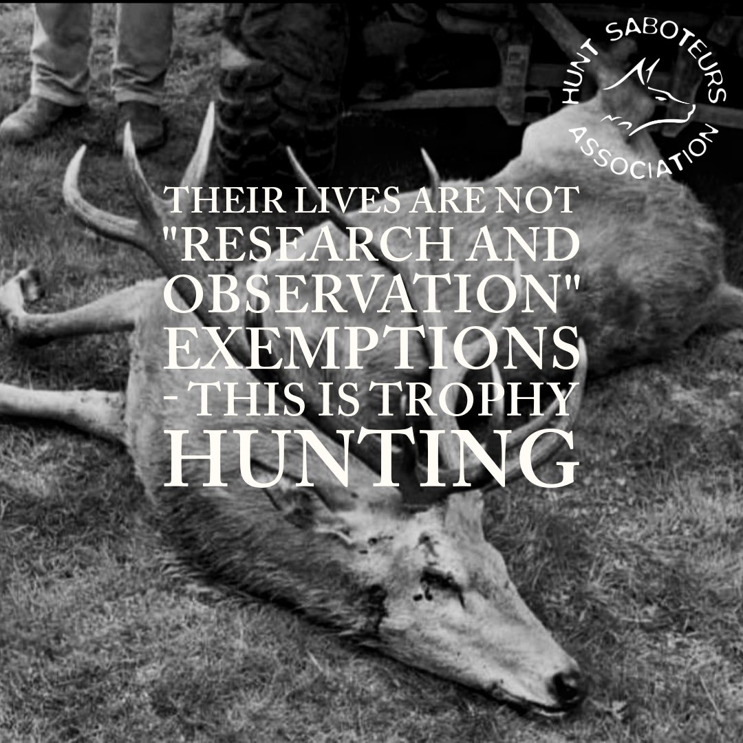 Hunt Saboteurs Association tweet media