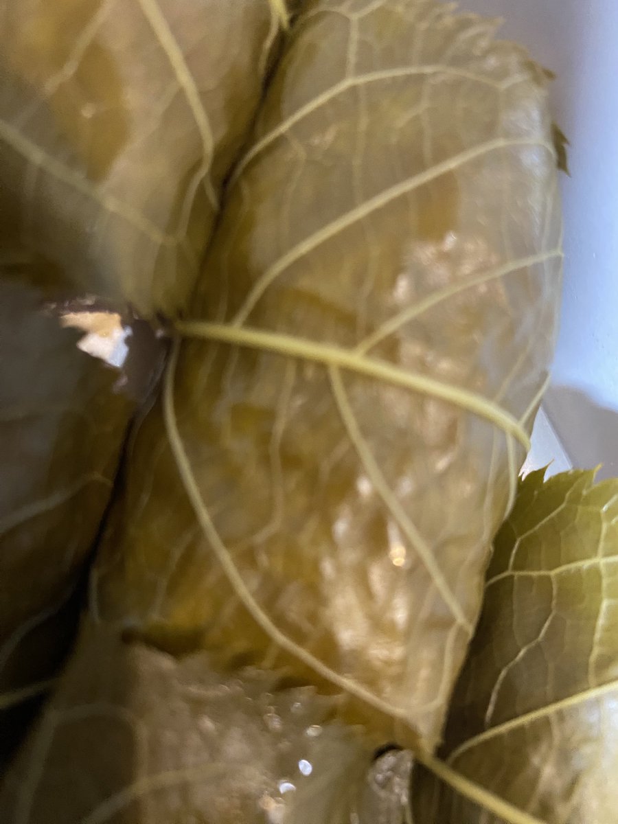 Gai(Guest's) tweet media