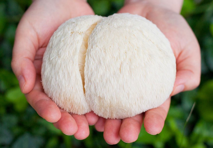 ㄴㅜㅣ tweet media