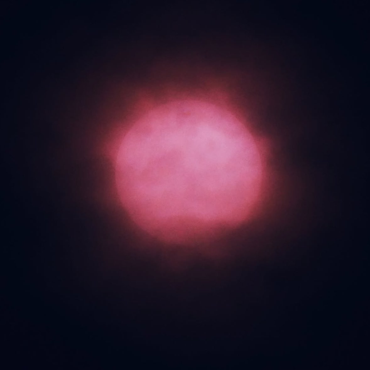 folkative tweet media