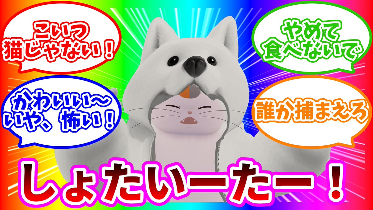 きれいーたー tweet media