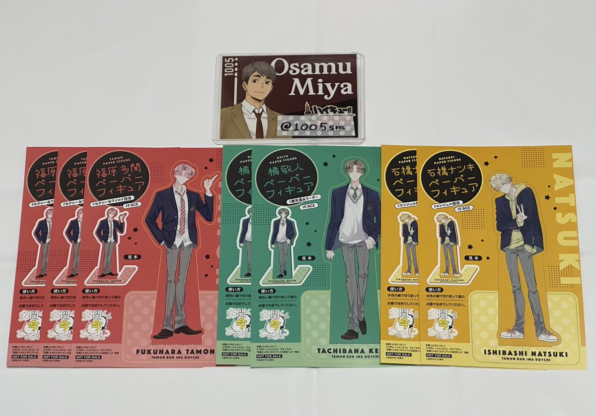 🐱🍼 tweet media