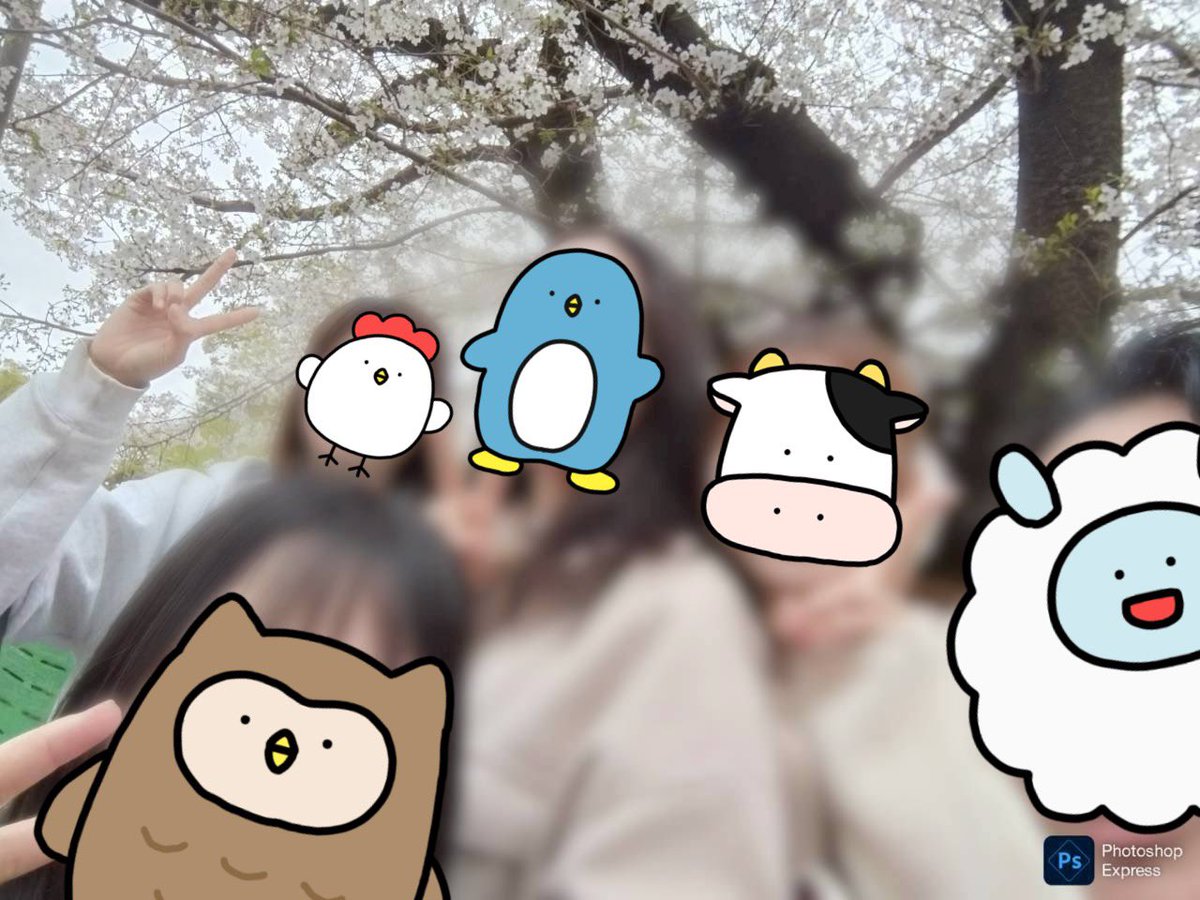 こんばんは☔️講演部です❗️

4/1はお花見企画を行いました🙌🙌
部員の仲がより一層深まりました🎉

新入生の皆様、ご入学おめでとうございます‼️㊗️
4/2からブース勧誘を行いますので是非お立ち寄り下さい🌲

#春から農大 #弁論 #春から東農大 #tua #春からtua #講演部