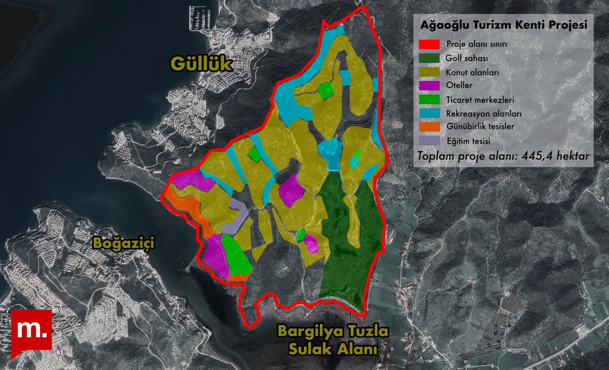 Doğu Eroğlu tweet media