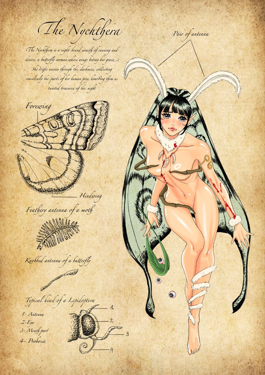 ☆*:.｡. tweet media