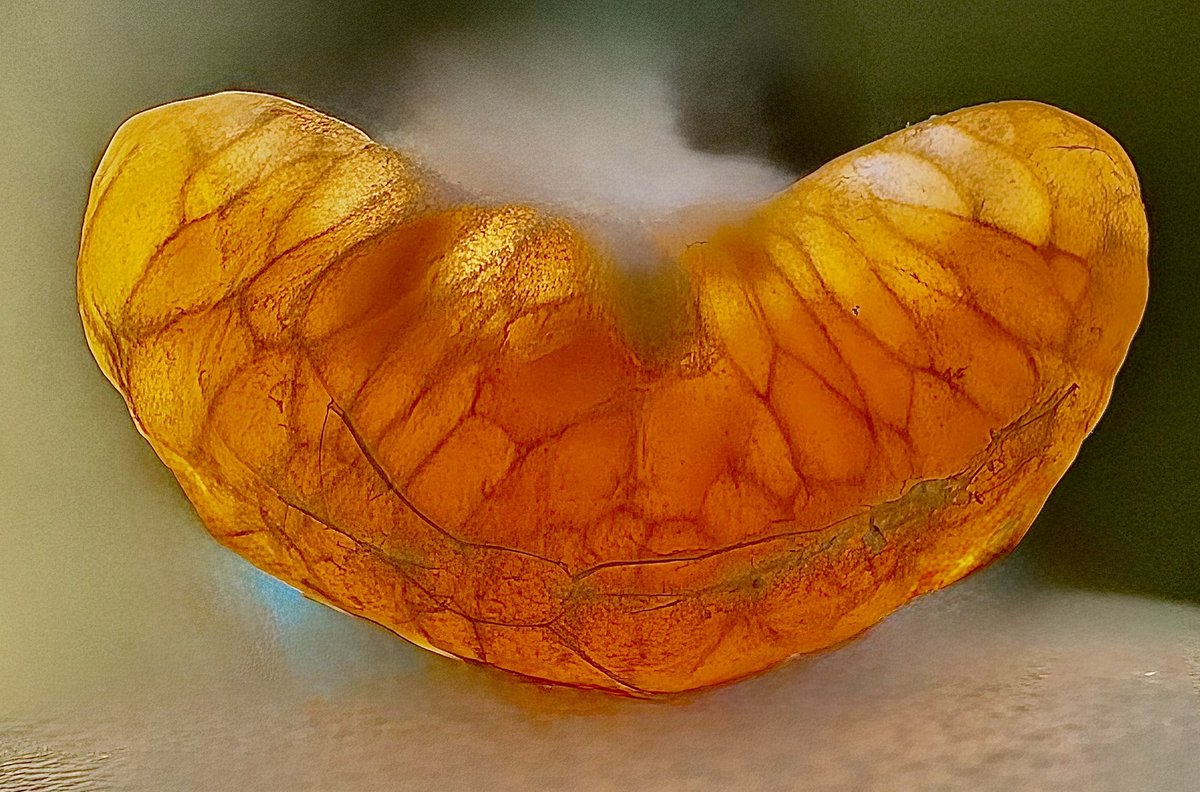 Nilesh Dharmadhikari tweet media