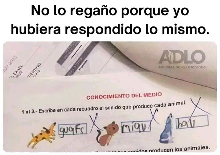 Más Ciencia tweet media