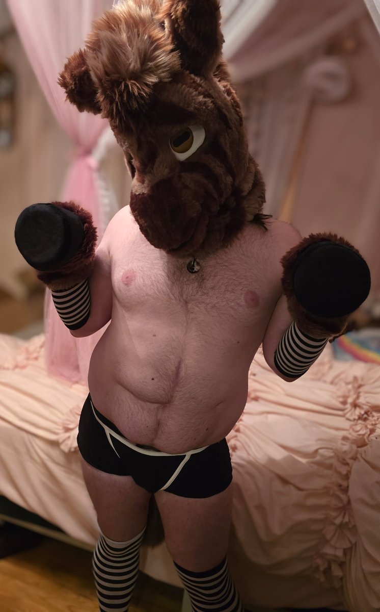 Rosco_Samara's tweet photo. Have I been a good enough zebra for you? 🥹

#murrsuit #gayfurry #bifurry #fursuitporn #furry #fursuiting #fursuitnsfw #furrynsfw #femboy #furryfemboy #furryfem https://t.co/NTOdfXBYjQ