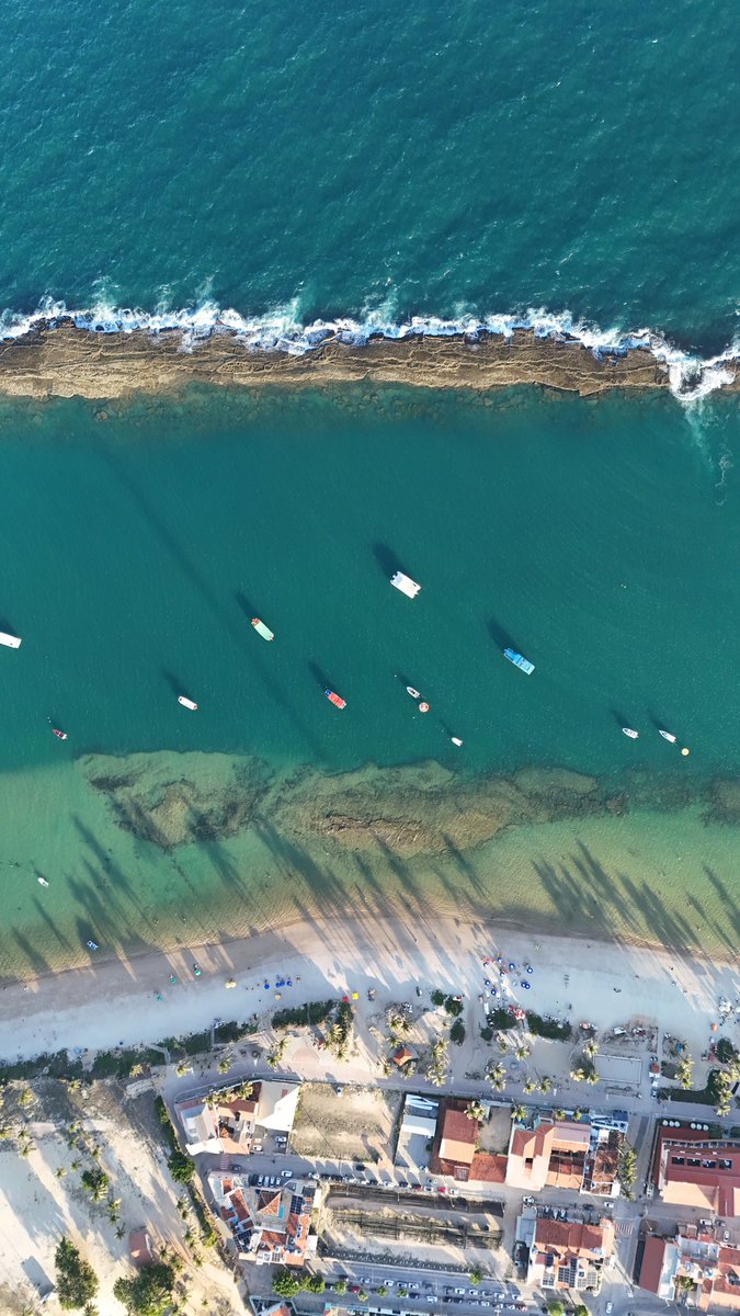 Stardustic tweet media