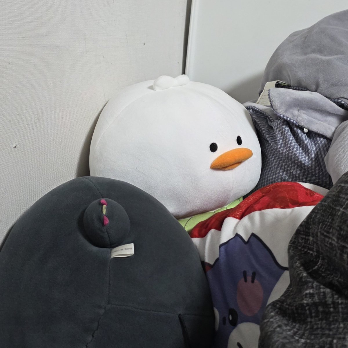 히소라(日空) tweet media