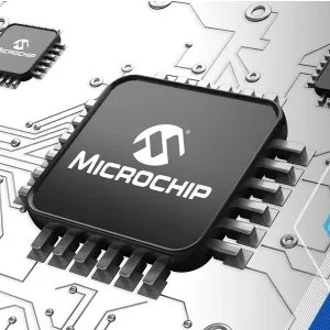 Son of Ilaje, born mariner ⛵ tweet media