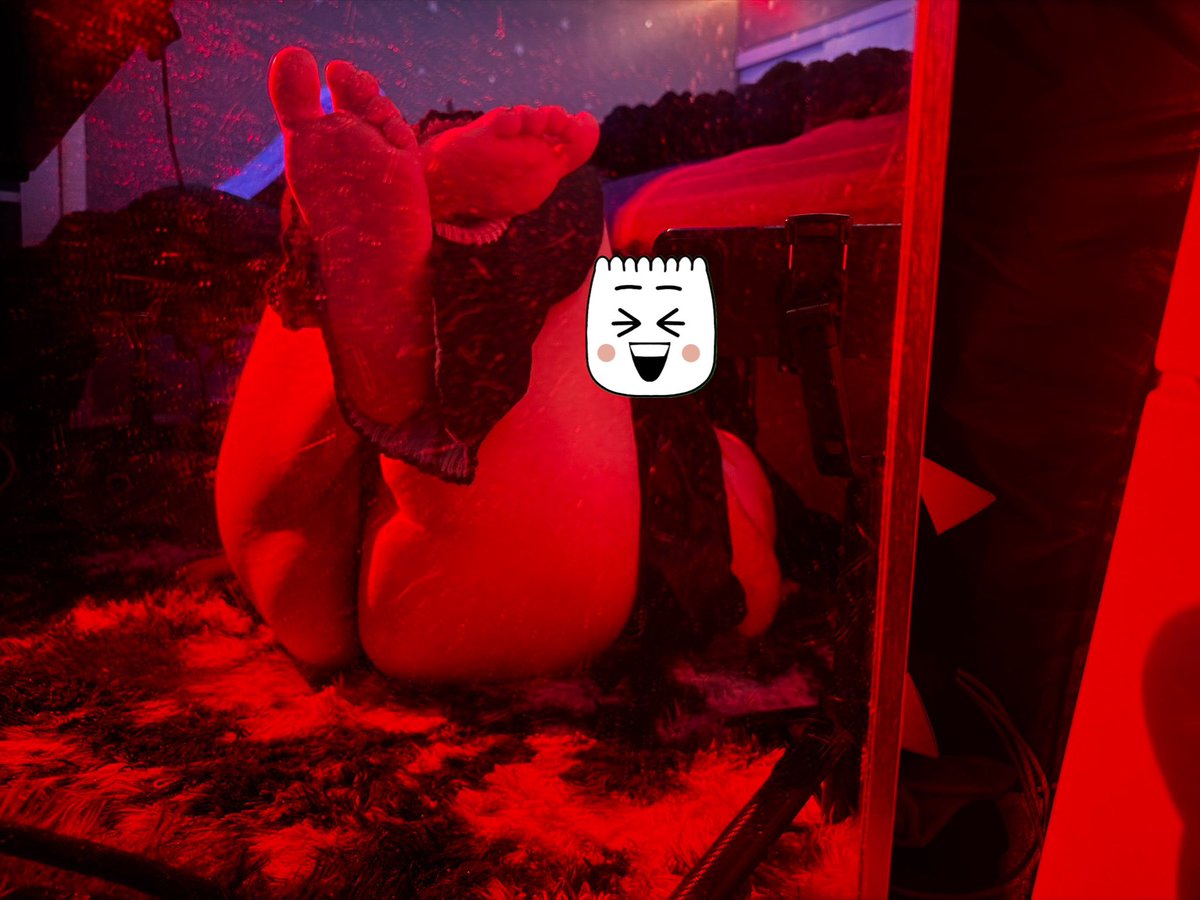 mimis🪽 tweet media