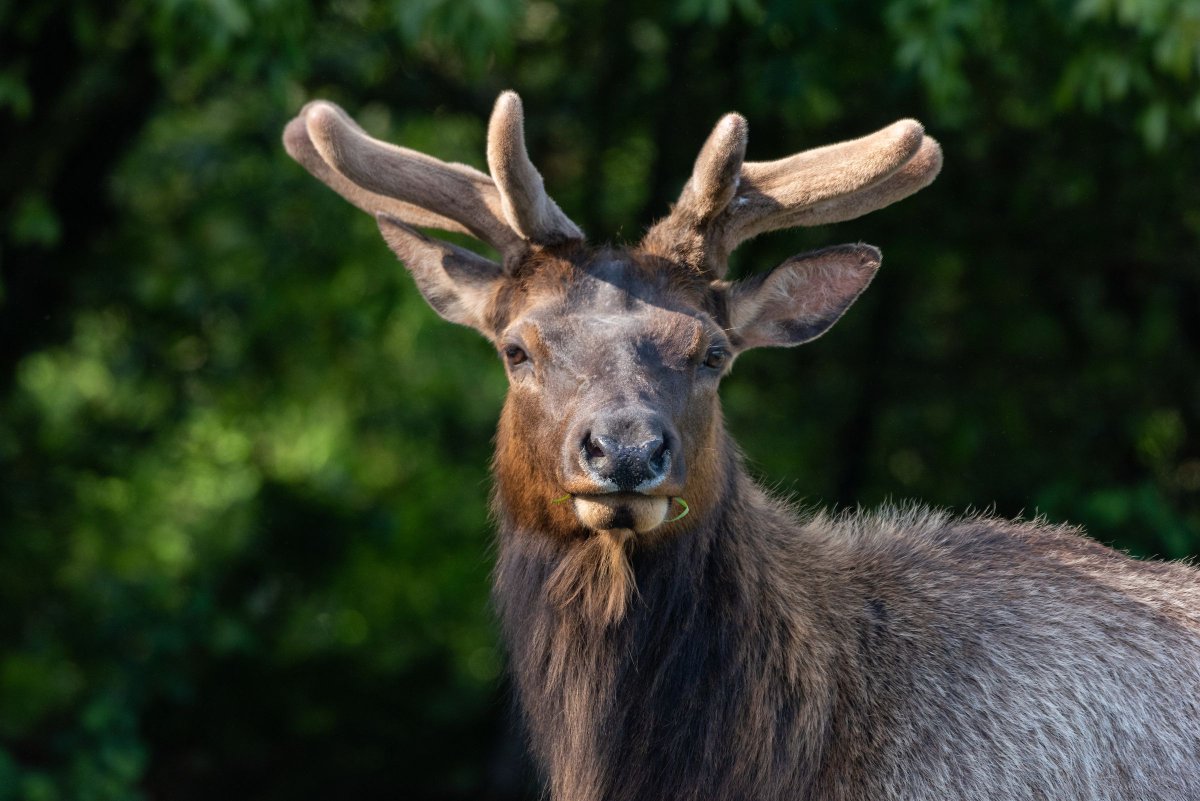 CA State Parks tweet media