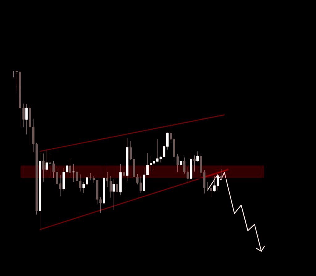 JoeMango tweet media