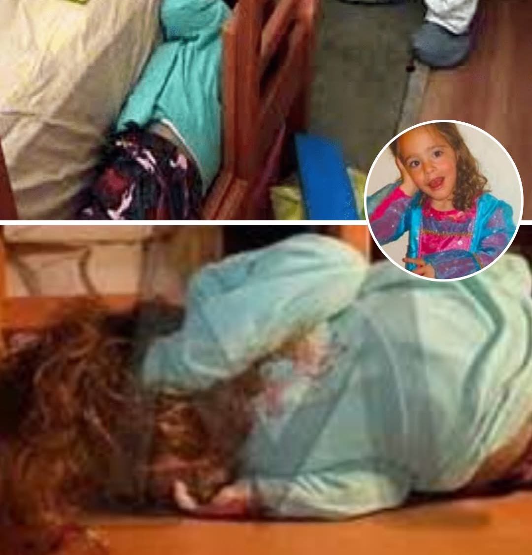 Mr PitBull tweet media