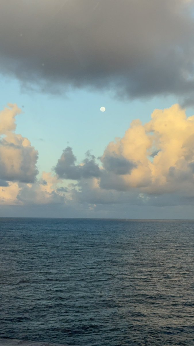 Greg Autry🚀 tweet media