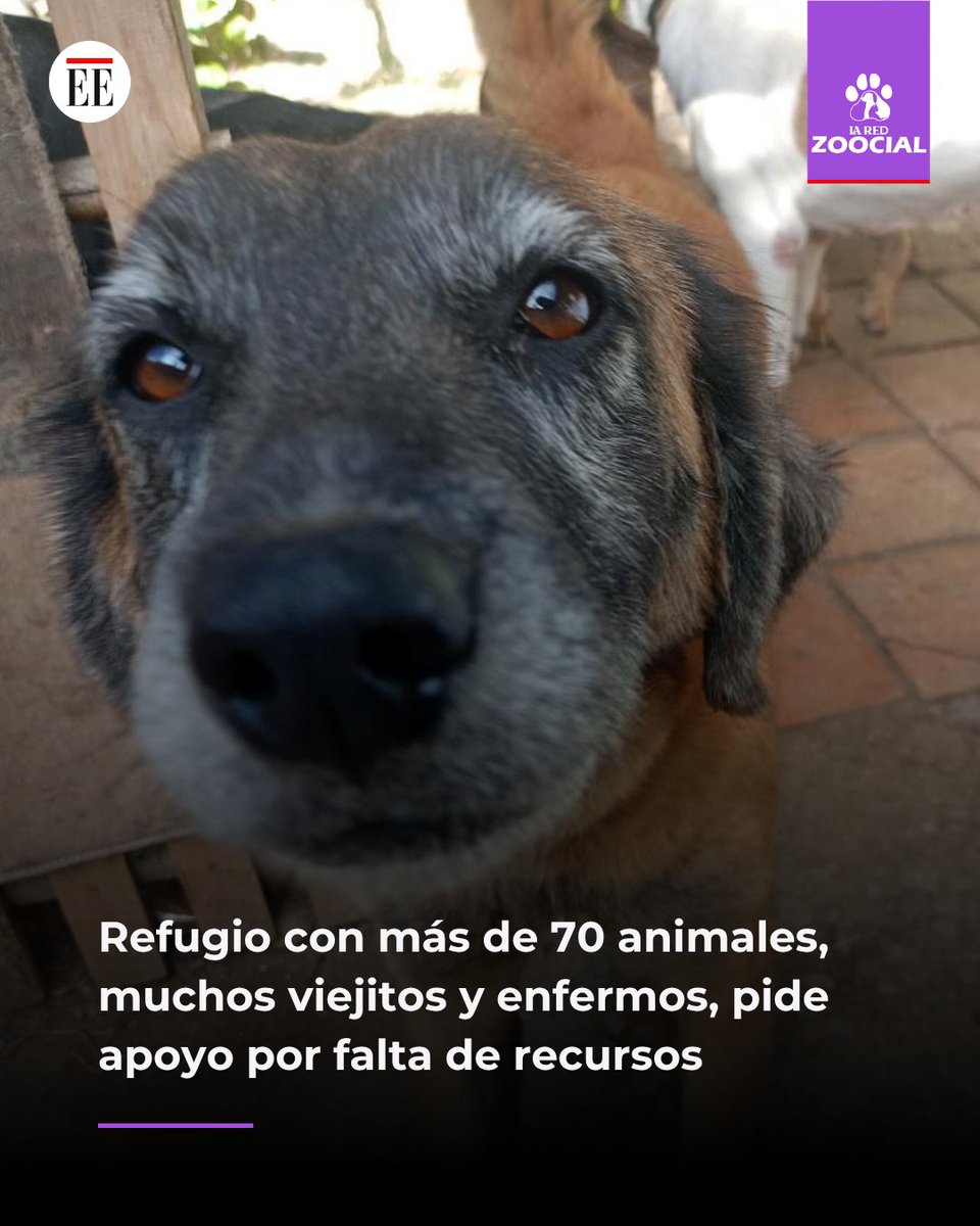 La Red Zoocial tweet media