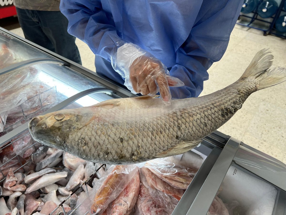 BLU Pacífico tweet media