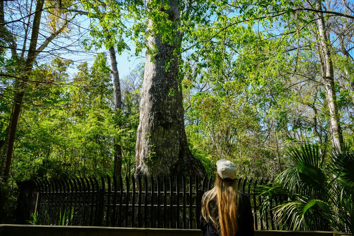 Seminole County, FL tweet media