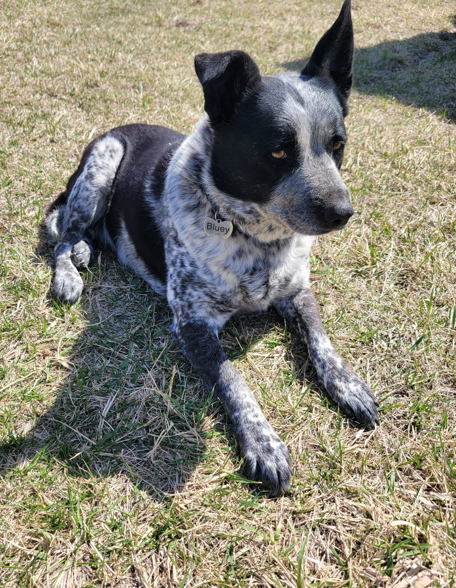 Mr. Taylor tweet media