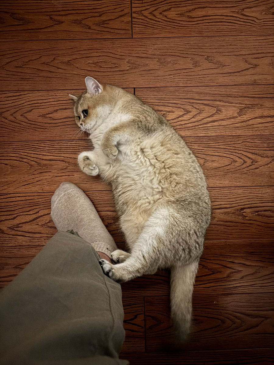 Vincent Song tweet media