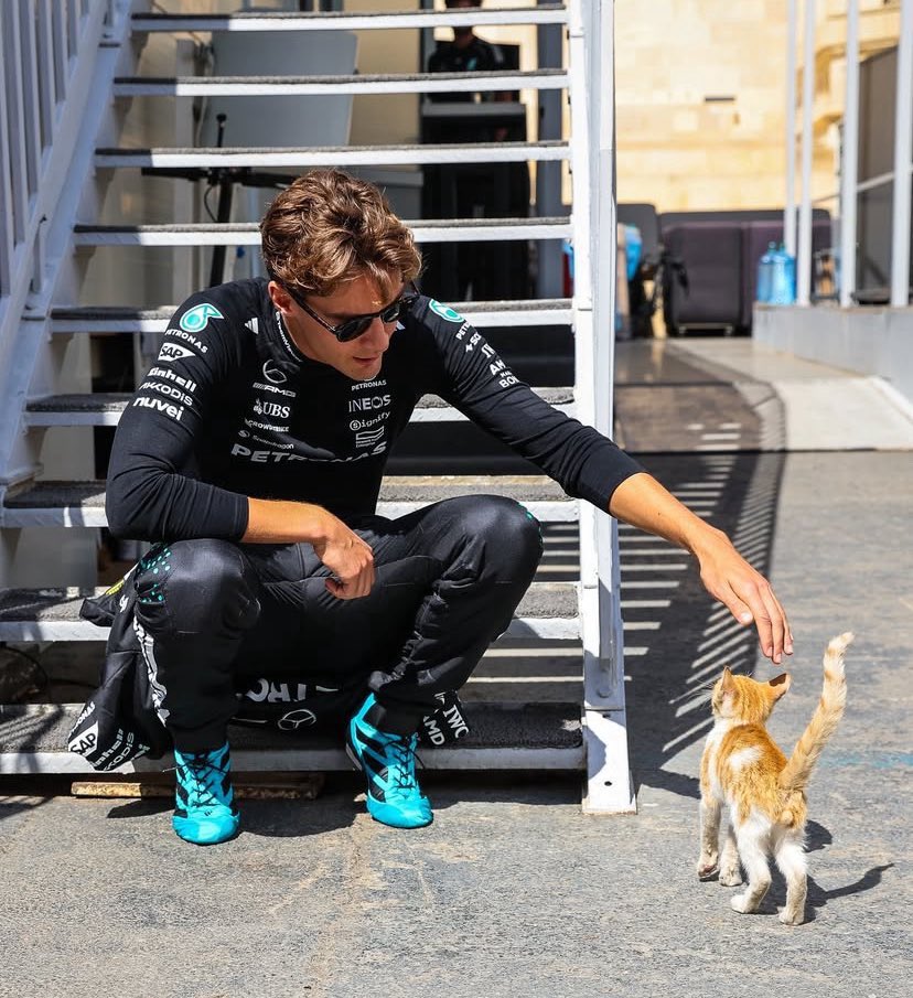 4644 files™ tweet media