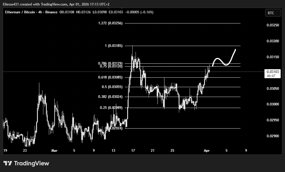 Leo 🦁 tweet media