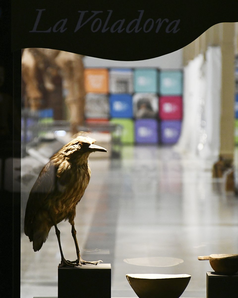 Museo Nacional de Historia Natural tweet media