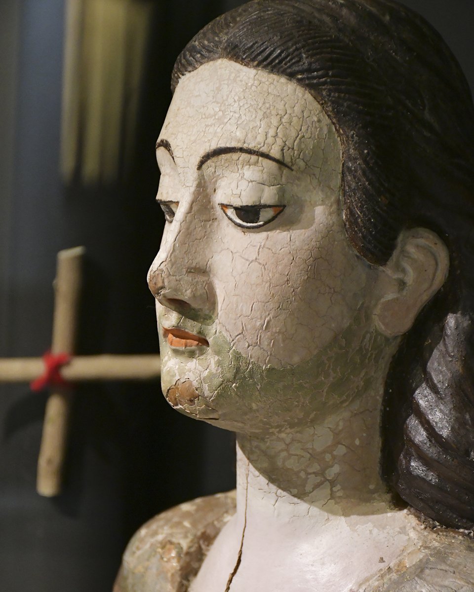 Museo Nacional de Historia Natural tweet media