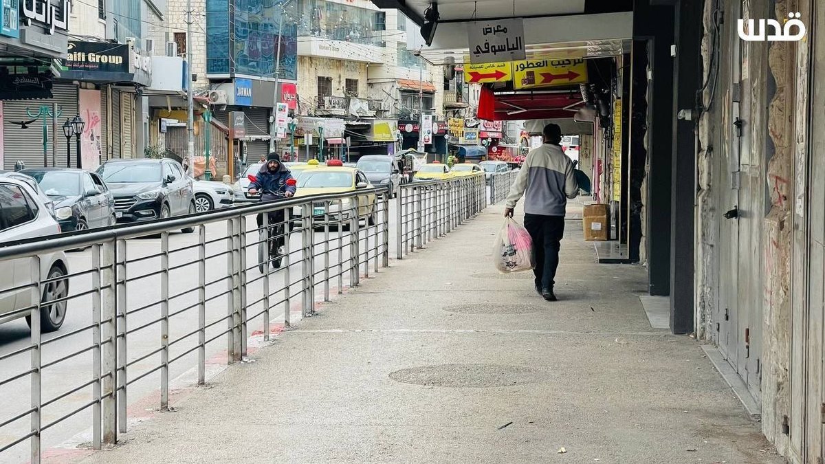 Good Shepherd Collective tweet media