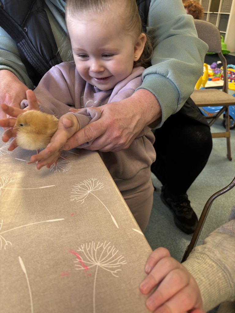 Yesterday the chicks visited our playgroup. The children loved talking about the chicks and holding them! Image