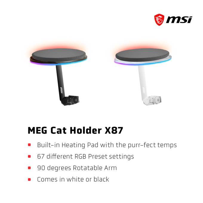 Pirat_Nation 🔴 tweet media