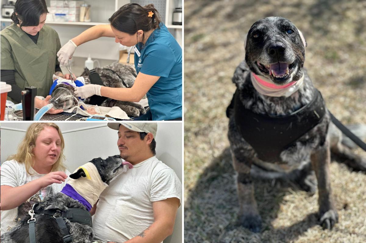 New York Post tweet media